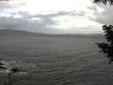 ./images/koeye/fitz-hugh/20200924/fitz-hugh20200924_091001.jpg