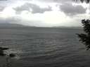 ./images/koeye/fitz-hugh/20200924/fitz-hugh20200924_094001.jpg