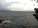 ./images/koeye/fitz-hugh/20200924/fitz-hugh20200924_094501.jpg