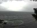 ./images/koeye/fitz-hugh/20200924/fitz-hugh20200924_100502.jpg