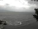 ./images/koeye/fitz-hugh/20200924/fitz-hugh20200924_101502.jpg