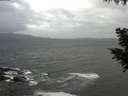 ./images/koeye/fitz-hugh/20200924/fitz-hugh20200924_102502.jpg
