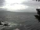 ./images/koeye/fitz-hugh/20200924/fitz-hugh20200924_104001.jpg