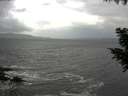 ./images/koeye/fitz-hugh/20200924/fitz-hugh20200924_104501.jpg