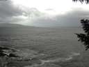 ./images/koeye/fitz-hugh/20200924/fitz-hugh20200924_105001.jpg