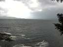 ./images/koeye/fitz-hugh/20200924/fitz-hugh20200924_105501.jpg