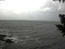 ./images/koeye/fitz-hugh/20200924/fitz-hugh20200924_110501.jpg