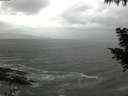 ./images/koeye/fitz-hugh/20200924/fitz-hugh20200924_113501.jpg