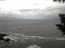 ./images/koeye/fitz-hugh/20200924/fitz-hugh20200924_114001.jpg