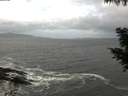 ./images/koeye/fitz-hugh/20200924/fitz-hugh20200924_114501.jpg