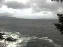./images/koeye/fitz-hugh/20200924/fitz-hugh20200924_115501.jpg