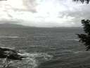 ./images/koeye/fitz-hugh/20200924/fitz-hugh20200924_121001.jpg