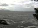 ./images/koeye/fitz-hugh/20200924/fitz-hugh20200924_122001.jpg
