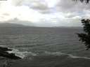./images/koeye/fitz-hugh/20200924/fitz-hugh20200924_123502.jpg