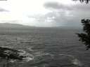 ./images/koeye/fitz-hugh/20200924/fitz-hugh20200924_125502.jpg