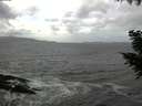 ./images/koeye/fitz-hugh/20200924/fitz-hugh20200924_131002.jpg