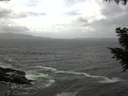 ./images/koeye/fitz-hugh/20200924/fitz-hugh20200924_131502.jpg