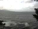 ./images/koeye/fitz-hugh/20200924/fitz-hugh20200924_132002.jpg