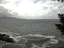 ./images/koeye/fitz-hugh/20200924/fitz-hugh20200924_132502.jpg