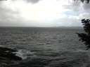 ./images/koeye/fitz-hugh/20200924/fitz-hugh20200924_133502.jpg