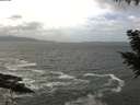./images/koeye/fitz-hugh/20200924/fitz-hugh20200924_134501.jpg