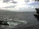 ./images/koeye/fitz-hugh/20200924/fitz-hugh20200924_135001.jpg