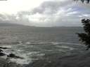 ./images/koeye/fitz-hugh/20200924/fitz-hugh20200924_135501.jpg