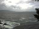 ./images/koeye/fitz-hugh/20200924/fitz-hugh20200924_140001.jpg