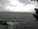 ./images/koeye/fitz-hugh/20200924/fitz-hugh20200924_145001.jpg