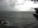 ./images/koeye/fitz-hugh/20200924/fitz-hugh20200924_145501.jpg