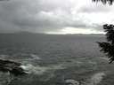 ./images/koeye/fitz-hugh/20200924/fitz-hugh20200924_150501.jpg