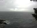 ./images/koeye/fitz-hugh/20200924/fitz-hugh20200924_151501.jpg
