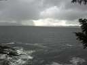 ./images/koeye/fitz-hugh/20200924/fitz-hugh20200924_152501.jpg