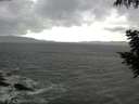 ./images/koeye/fitz-hugh/20200924/fitz-hugh20200924_153501.jpg