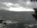 ./images/koeye/fitz-hugh/20200924/fitz-hugh20200924_154002.jpg