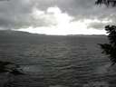 ./images/koeye/fitz-hugh/20200924/fitz-hugh20200924_154502.jpg
