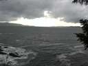 ./images/koeye/fitz-hugh/20200924/fitz-hugh20200924_155002.jpg