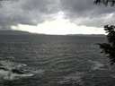 ./images/koeye/fitz-hugh/20200924/fitz-hugh20200924_160502.jpg