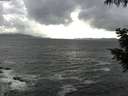 ./images/koeye/fitz-hugh/20200924/fitz-hugh20200924_161002.jpg