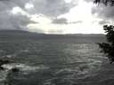 ./images/koeye/fitz-hugh/20200924/fitz-hugh20200924_161502.jpg