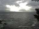 ./images/koeye/fitz-hugh/20200924/fitz-hugh20200924_163502.jpg