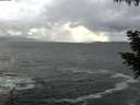 ./images/koeye/fitz-hugh/20200924/fitz-hugh20200924_172501.jpg