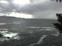 ./images/koeye/fitz-hugh/20200924/fitz-hugh20200924_175001.jpg