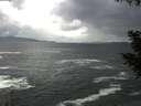 ./images/koeye/fitz-hugh/20200924/fitz-hugh20200924_175501.jpg