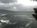./images/koeye/fitz-hugh/20200924/fitz-hugh20200924_180001.jpg