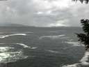 ./images/koeye/fitz-hugh/20200924/fitz-hugh20200924_180501.jpg