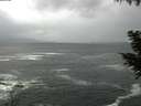 ./images/koeye/fitz-hugh/20200924/fitz-hugh20200924_181001.jpg