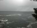 ./images/koeye/fitz-hugh/20200924/fitz-hugh20200924_181501.jpg