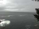 ./images/koeye/fitz-hugh/20200924/fitz-hugh20200924_182001.jpg