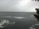 ./images/koeye/fitz-hugh/20200924/fitz-hugh20200924_184502.jpg